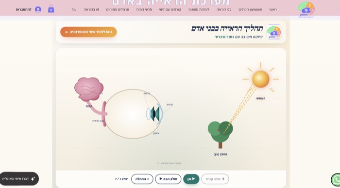 מערכת הראייה באדם
